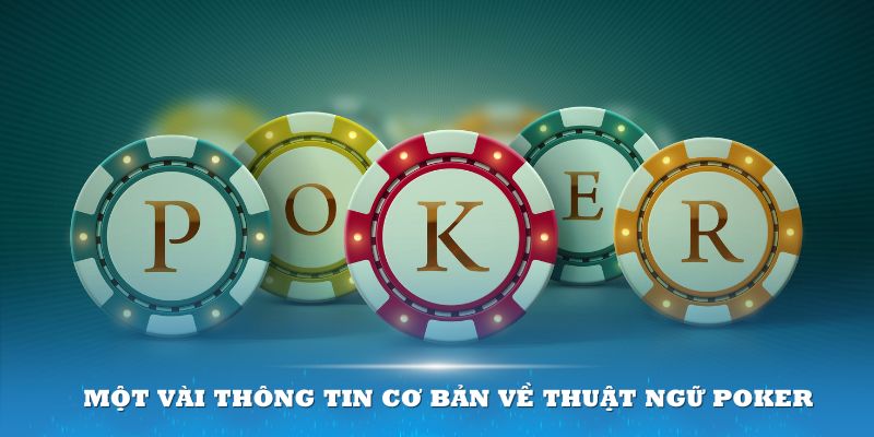 Giới thiệu một vài thông tin cơ bản về thuật ngữ Poker